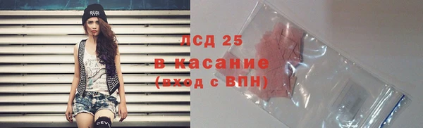 PSILOCYBIN Покров