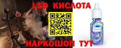 гашик Новозыбков