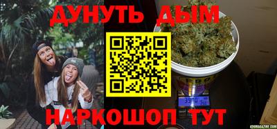 гашик Новозыбков
