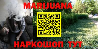 гашик Новозыбков