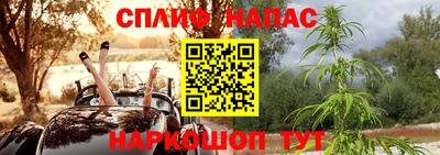 гашик Новозыбков