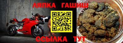 гашик Новозыбков