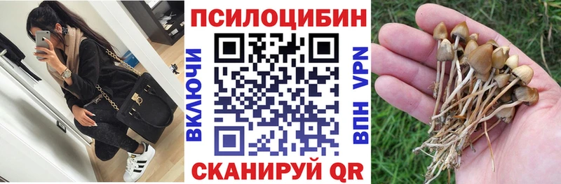 Галлюциногенные грибы мухоморы  наркошоп  Ялуторовск 