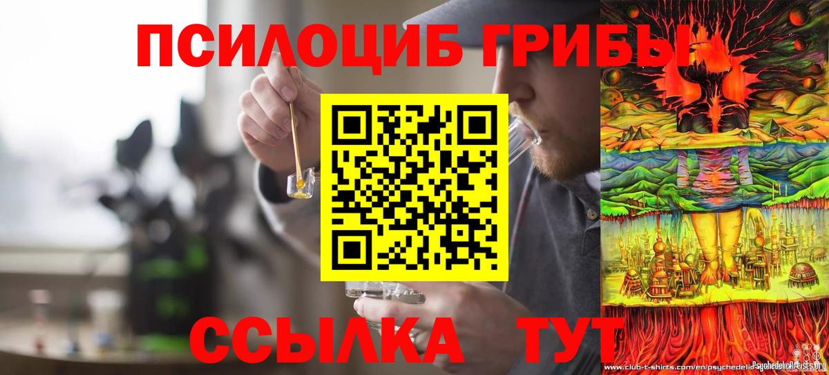 Галлюциногенные грибы мицелий  Вход с VPN  где купить наркоту  Ялуторовск 